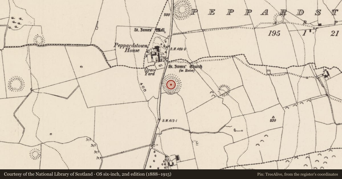 Ordnance Survey six-inch map, 2nd edition (1888–1915) covering the location of Ringfort - rath, Knockkelly, County Tipperary South, with a pin at the register's coordinates