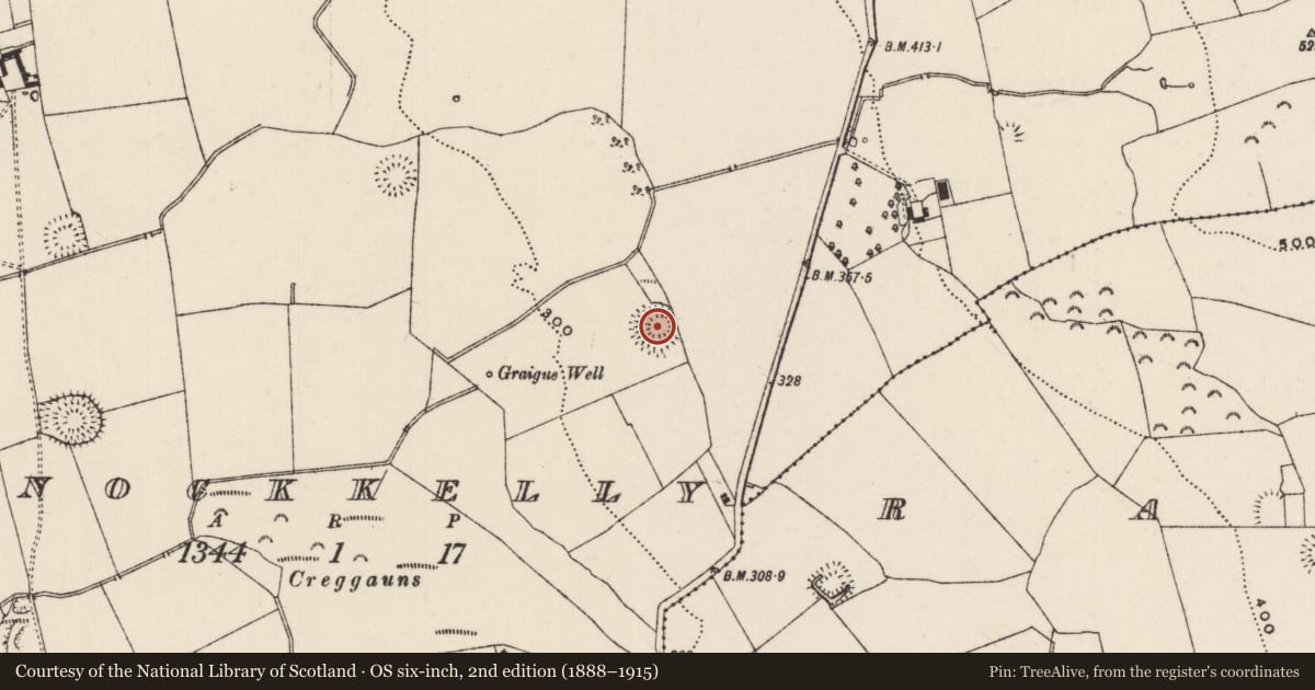 Ordnance Survey six-inch map, 2nd edition (1888–1915) covering the location of Concentric enclosure, Knockkelly, County Tipperary South, with a pin at the register's coordinates