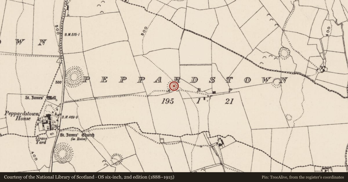 Ordnance Survey six-inch map, 2nd edition (1888–1915) covering the location of Enclosure, Peppardstown, County Tipperary South, with a pin at the register's coordinates