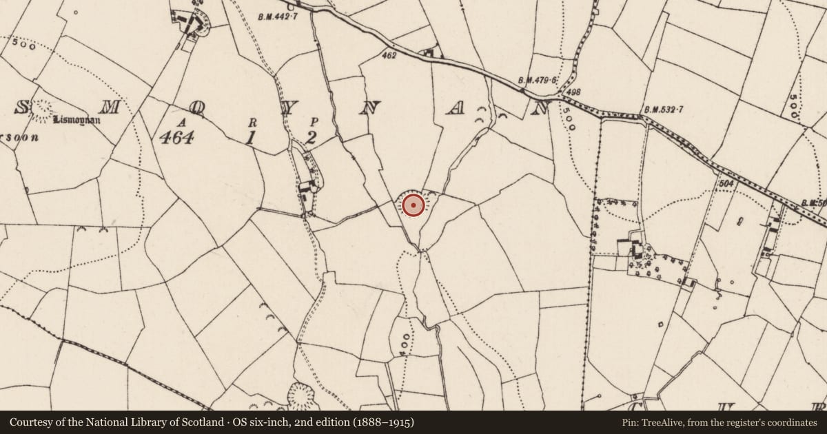 Ordnance Survey six-inch map, 2nd edition (1888–1915) covering the location of Ringfort - rath, Lismoynan, County Tipperary South, with a pin at the register's coordinates