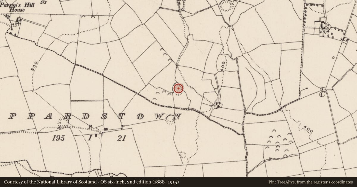 Ordnance Survey six-inch map, 2nd edition (1888–1915) covering the location of Ringfort - rath, Lismoynan, County Tipperary South, with a pin at the register's coordinates