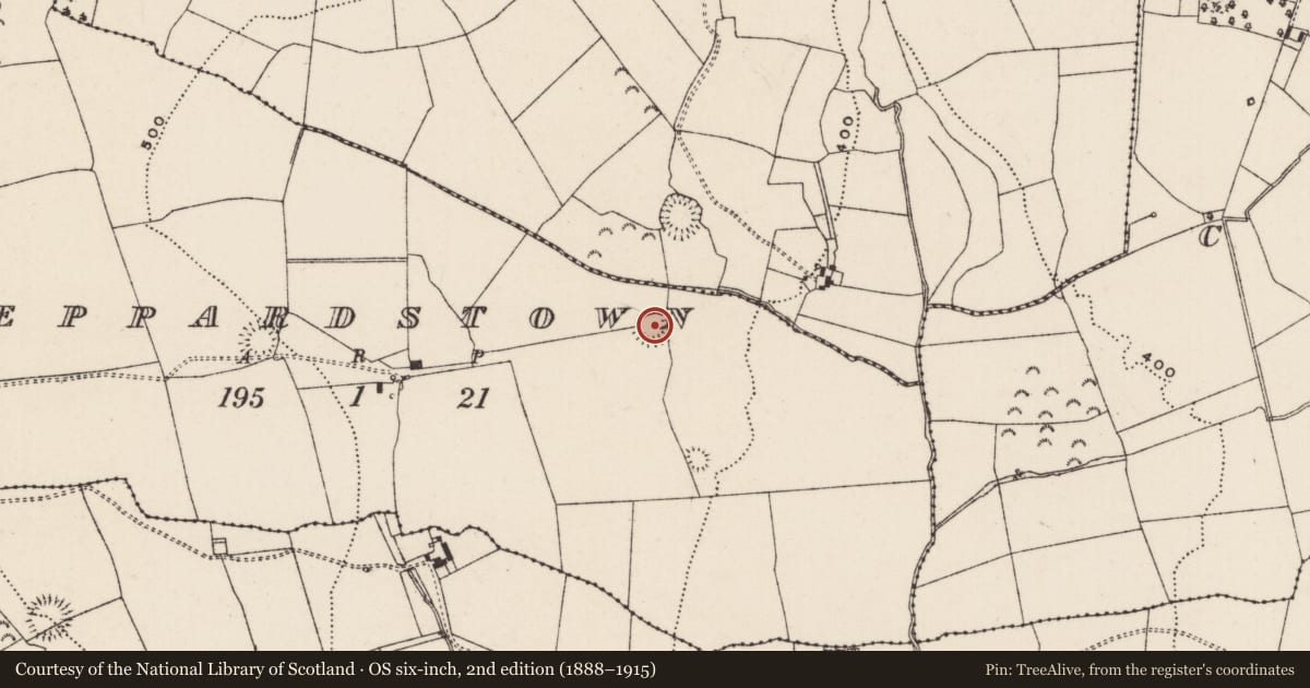 Ordnance Survey six-inch map, 2nd edition (1888–1915) covering the location of Enclosure, Peppardstown, County Tipperary South, with a pin at the register's coordinates