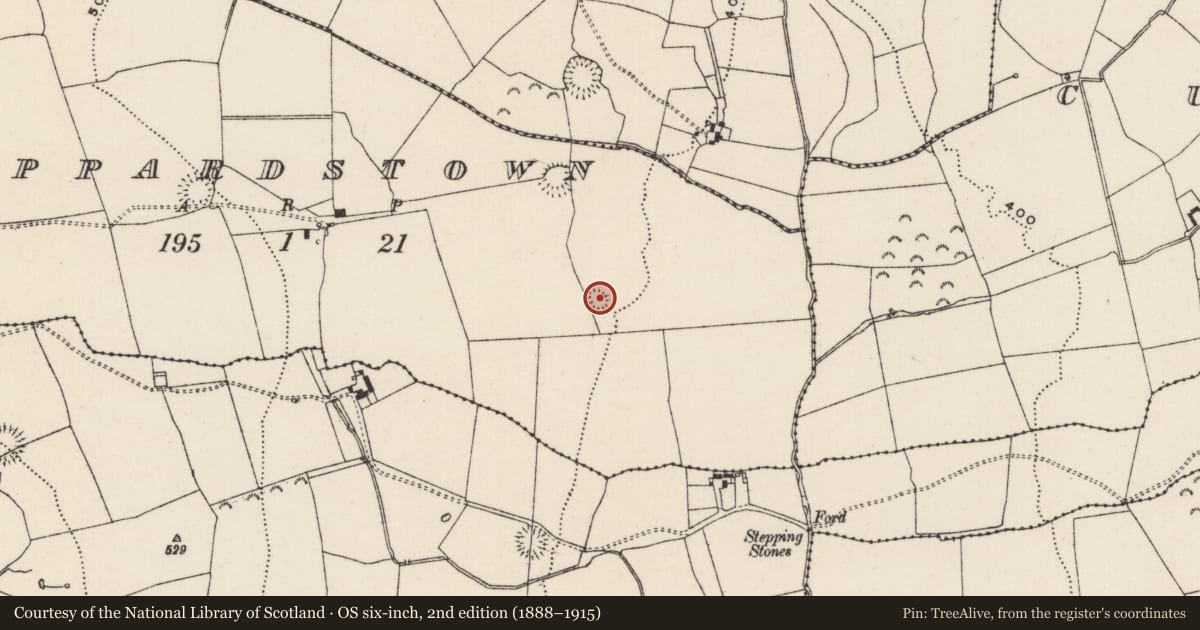 Ordnance Survey six-inch map, 2nd edition (1888–1915) covering the location of Enclosure, Peppardstown, County Tipperary South, with a pin at the register's coordinates