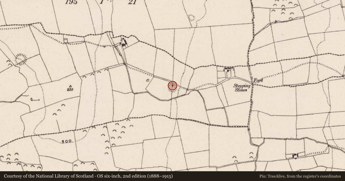 Ordnance Survey six-inch map, 2nd edition (1888–1915) covering the location of Enclosure, Knockkelly, County Tipperary South, with a pin at the register's coordinates