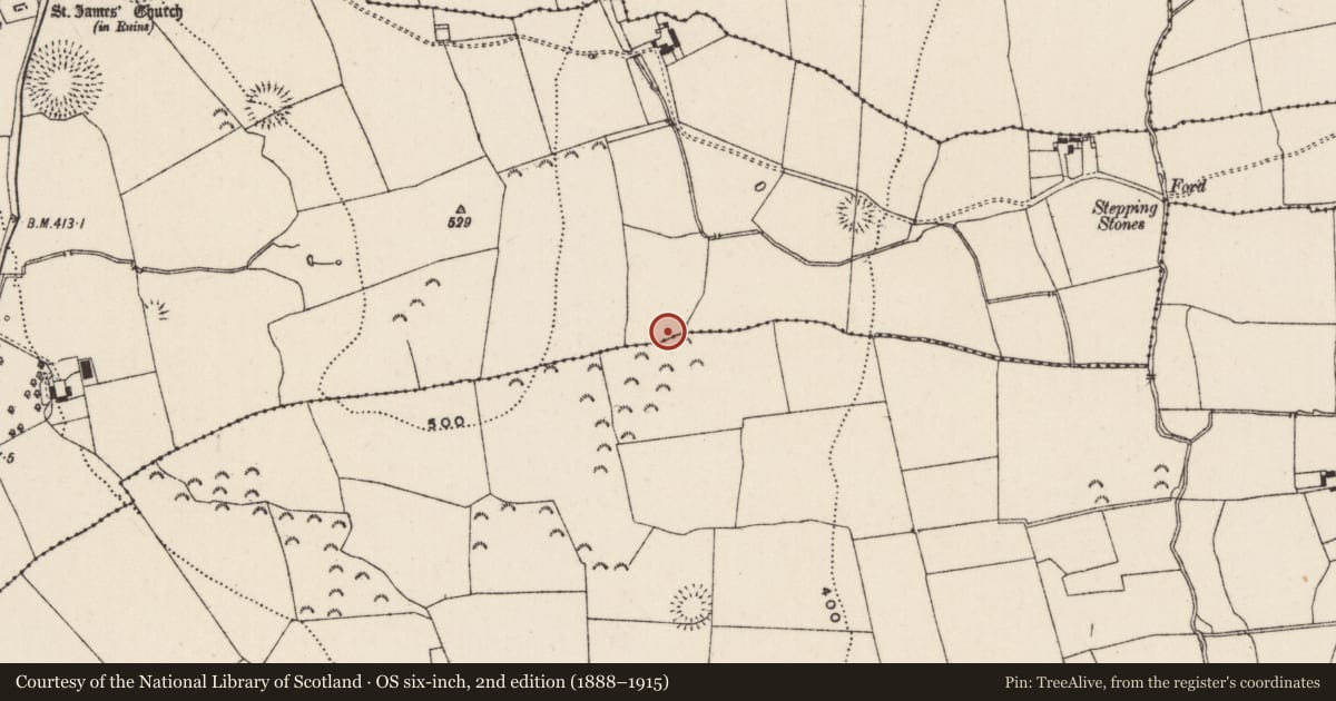 Ordnance Survey six-inch map, 2nd edition (1888–1915) covering the location of Enclosure, Knockkelly, Rathkenny, County Tipperary South, with a pin at the register's coordinates