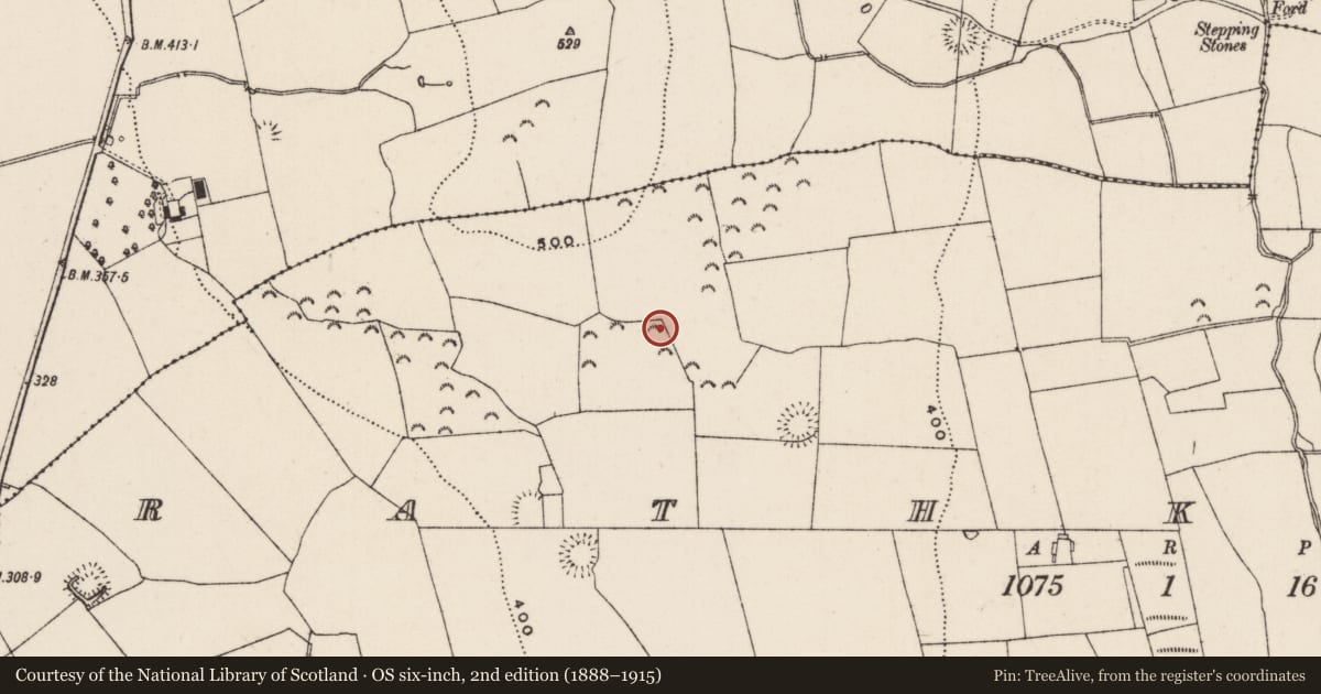 Ordnance Survey six-inch map, 2nd edition (1888–1915) covering the location of Enclosure, Rathkenny, County Tipperary South, with a pin at the register's coordinates