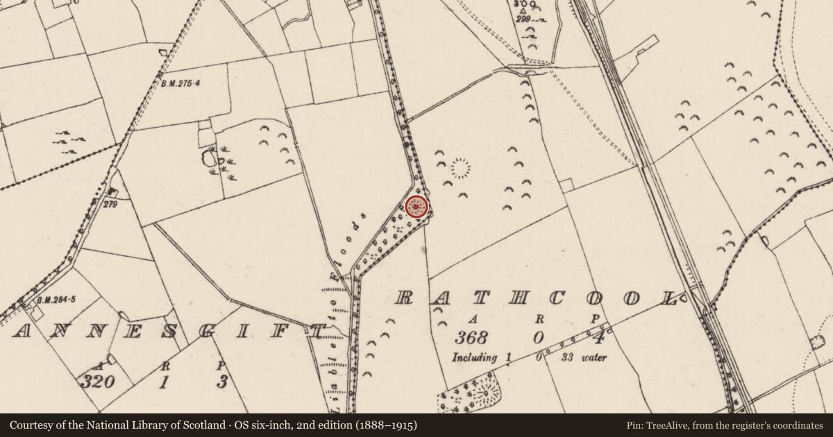 Ordnance Survey six-inch map, 2nd edition (1888–1915) covering the location of Castle - ringwork, Annesgift, County Tipperary South, with a pin at the register's coordinates