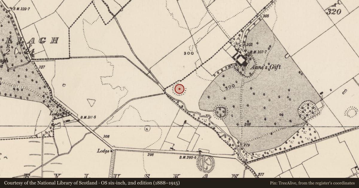 Ordnance Survey six-inch map, 2nd edition (1888–1915) covering the location of Enclosure, Annesgift, County Tipperary South, with a pin at the register's coordinates