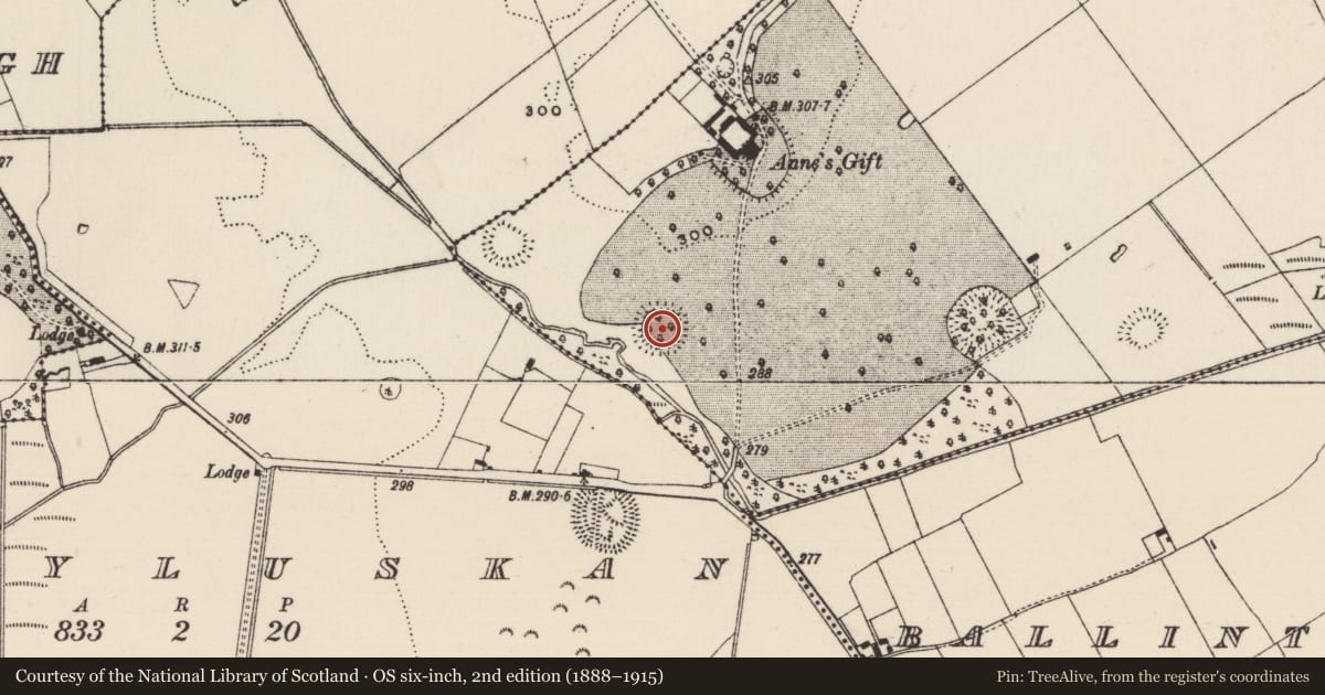 Ordnance Survey six-inch map, 2nd edition (1888–1915) covering the location of Ringfort - rath, Annesgift, County Tipperary South, with a pin at the register's coordinates
