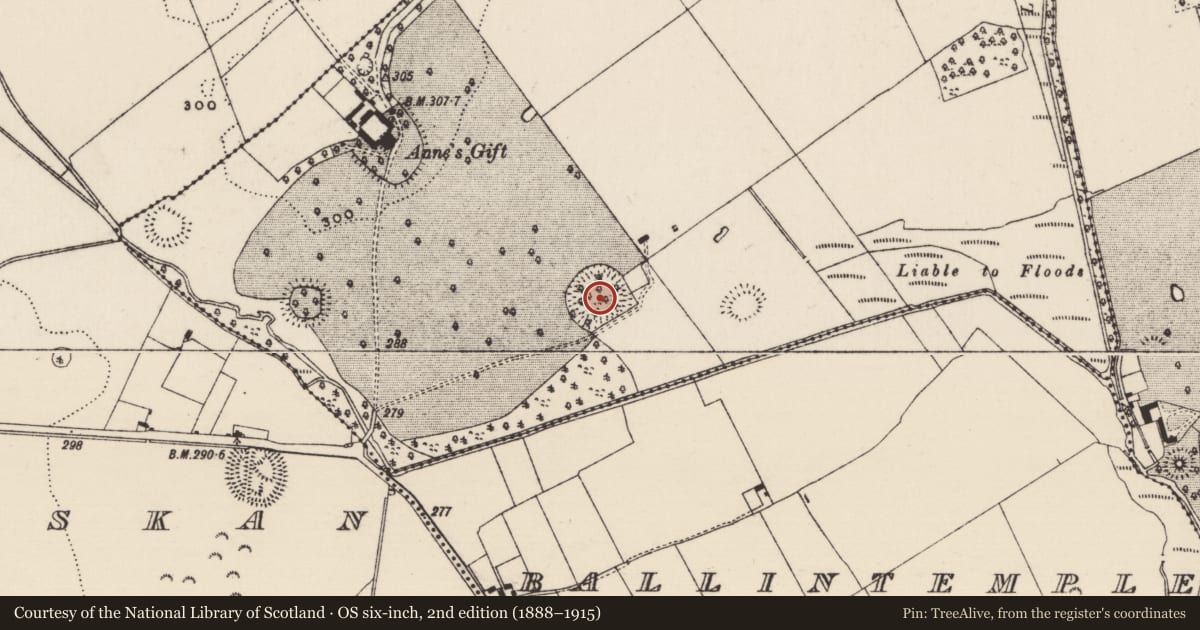 Ordnance Survey six-inch map, 2nd edition (1888–1915) covering the location of Ringfort - rath, Annesgift, County Tipperary South, with a pin at the register's coordinates