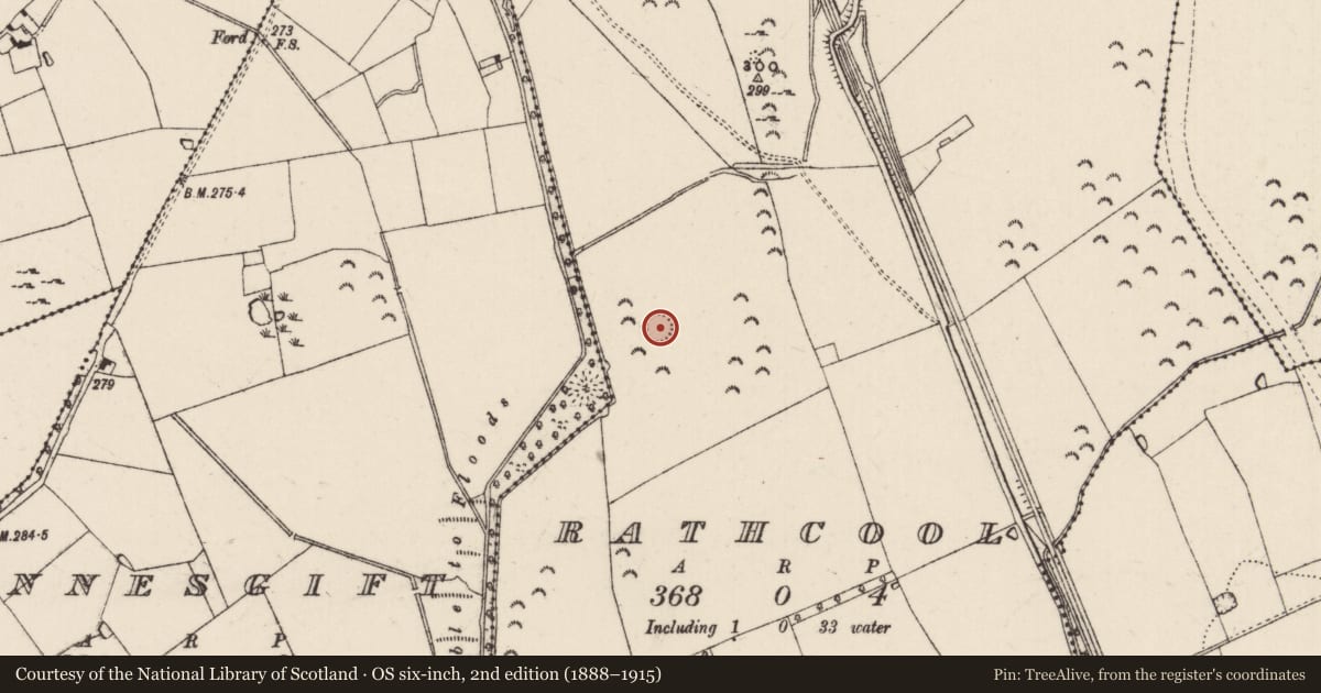 Ordnance Survey six-inch map, 2nd edition (1888–1915) covering the location of Ringfort - rath, Rathcool, County Tipperary South, with a pin at the register's coordinates