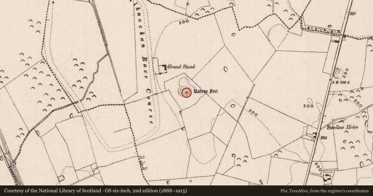 Ordnance Survey six-inch map, 2nd edition (1888–1915) covering the location of Castle - ringwork and bailey, Kilknockan, County Tipperary South, with a pin at the register's coordinates