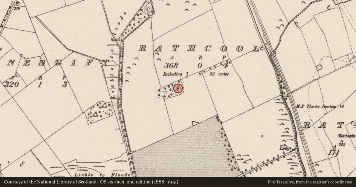Ordnance Survey six-inch map, 2nd edition (1888–1915) covering the location of Ringfort - rath, Rathcool, County Tipperary South, with a pin at the register's coordinates