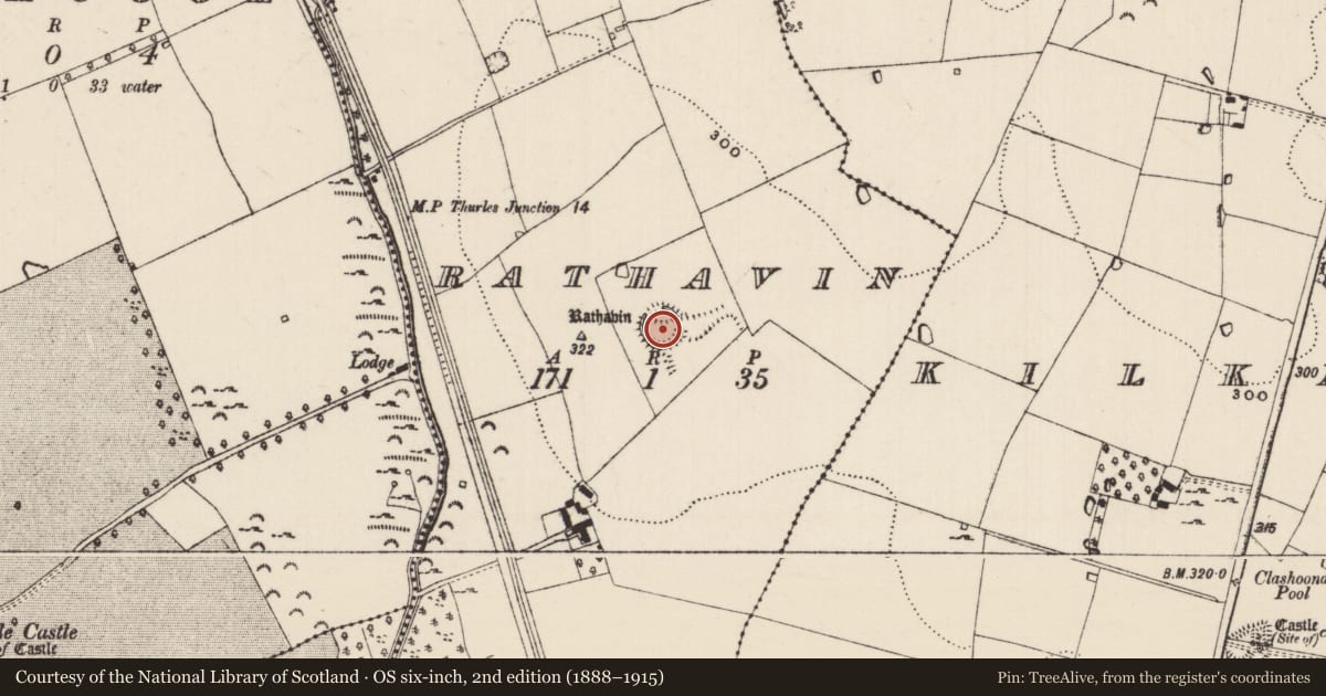 Ordnance Survey six-inch map, 2nd edition (1888–1915) covering the location of Ringfort - rath, Rathavin, County Tipperary South, with a pin at the register's coordinates