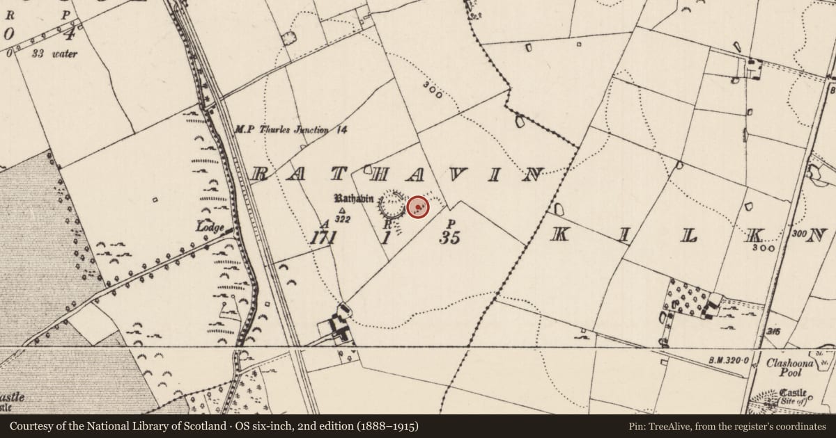 Ordnance Survey six-inch map, 2nd edition (1888–1915) covering the location of Earthwork, Rathavin, County Tipperary South, with a pin at the register's coordinates