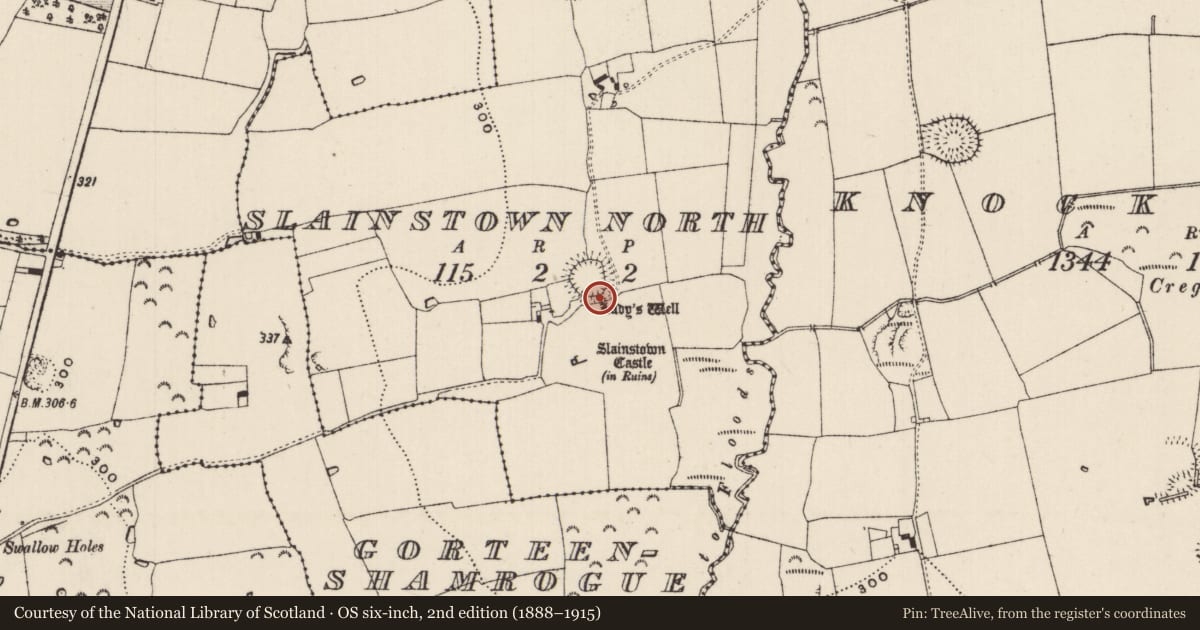 Ordnance Survey six-inch map, 2nd edition (1888–1915) covering the location of Ritual site - holy well, Slainstown North, County Tipperary South, with a pin at the register's coordinates