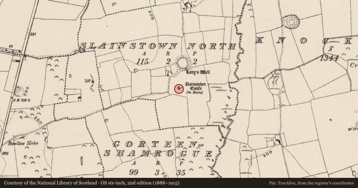 Ordnance Survey six-inch map, 2nd edition (1888–1915) covering the location of Castle - tower house, Slainstown North, County Tipperary South, with a pin at the register's coordinates