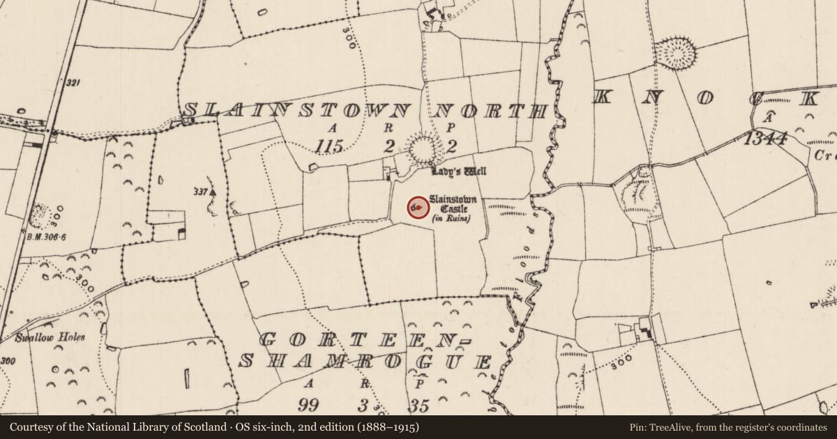Ordnance Survey six-inch map, 2nd edition (1888–1915) covering the location of House - 17th century, Slainstown North, County Tipperary South, with a pin at the register's coordinates