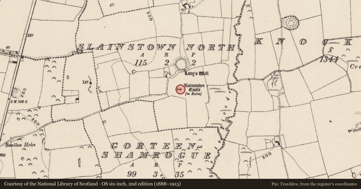 Ordnance Survey six-inch map, 2nd edition (1888–1915) covering the location of Bawn, Slainstown North, County Tipperary South, with a pin at the register's coordinates