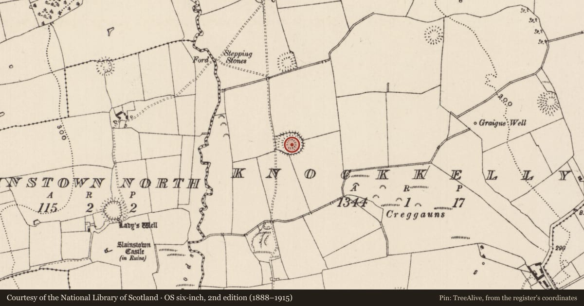 Ordnance Survey six-inch map, 2nd edition (1888–1915) covering the location of Enclosure, Knockkelly, County Tipperary South, with a pin at the register's coordinates