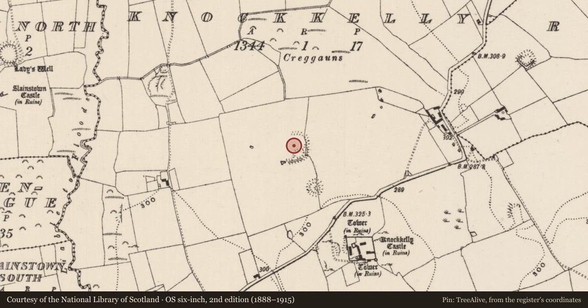 Ordnance Survey six-inch map, 2nd edition (1888–1915) covering the location of Moated site, Knockkelly, County Tipperary South, with a pin at the register's coordinates
