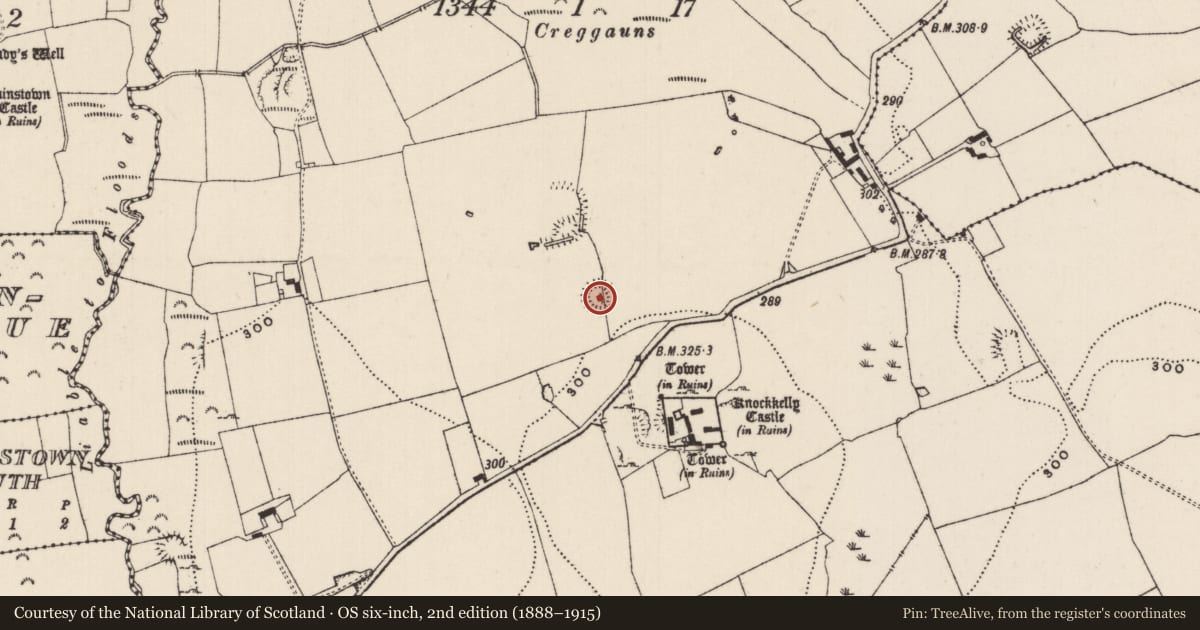 Ordnance Survey six-inch map, 2nd edition (1888–1915) covering the location of Enclosure, Knockkelly, County Tipperary South, with a pin at the register's coordinates