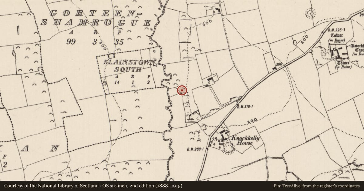 Ordnance Survey six-inch map, 2nd edition (1888–1915) covering the location of Enclosure, Knockkelly, County Tipperary South, with a pin at the register's coordinates