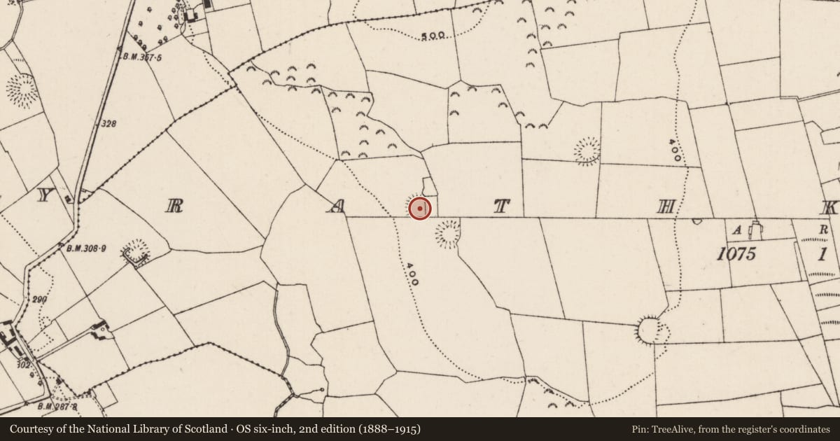 Ordnance Survey six-inch map, 2nd edition (1888–1915) covering the location of Enclosure, Rathkenny, County Tipperary South, with a pin at the register's coordinates