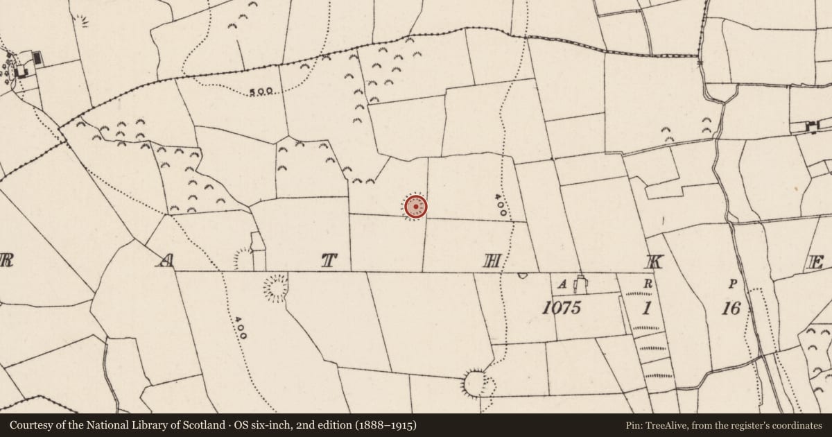 Ordnance Survey six-inch map, 2nd edition (1888–1915) covering the location of Ringfort - rath, Rathkenny, County Tipperary South, with a pin at the register's coordinates