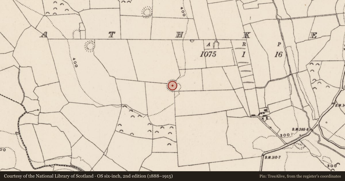 Ordnance Survey six-inch map, 2nd edition (1888–1915) covering the location of Ringfort - rath, Rathkenny, County Tipperary South, with a pin at the register's coordinates