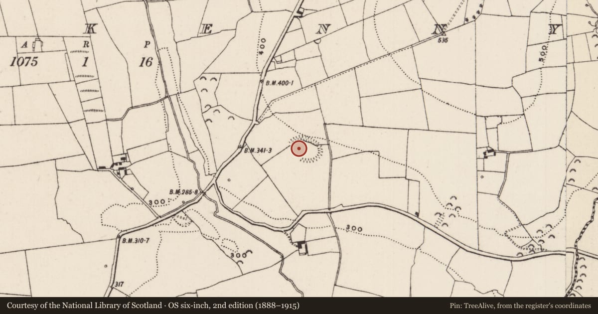 Ordnance Survey six-inch map, 2nd edition (1888–1915) covering the location of Ringfort - rath, Rathkenny, County Tipperary South, with a pin at the register's coordinates