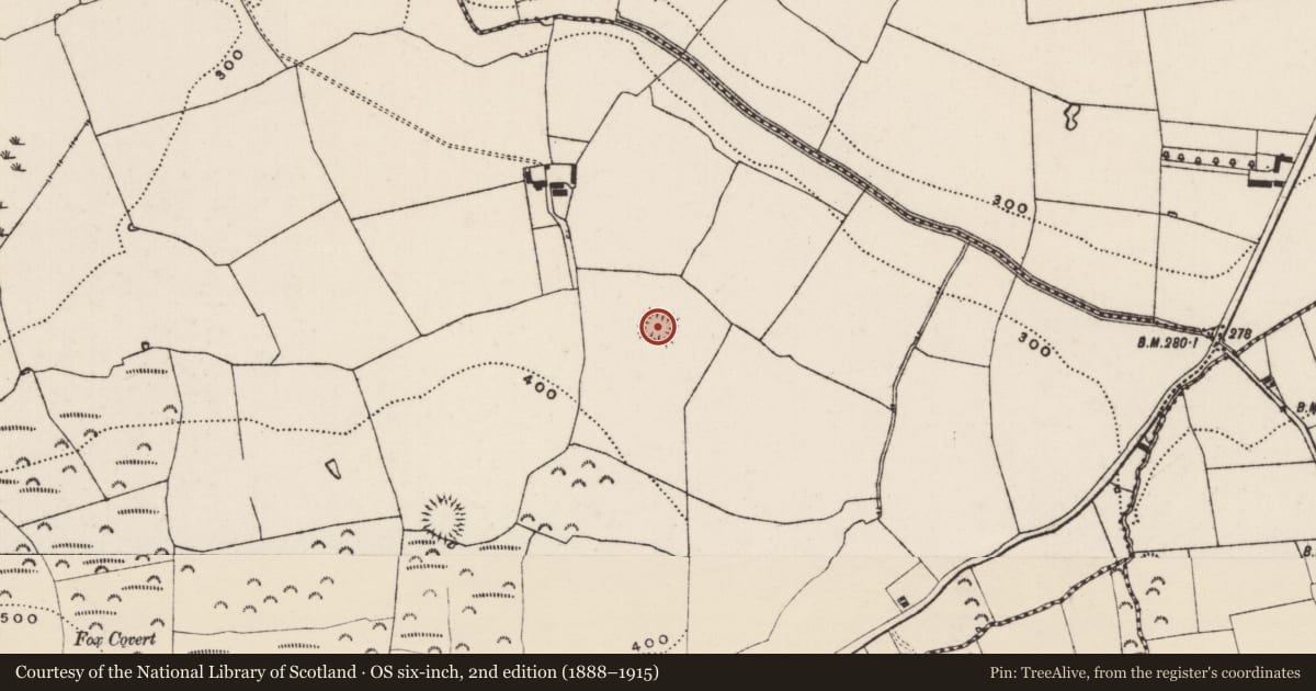 Ordnance Survey six-inch map, 2nd edition (1888–1915) covering the location of Moated site, Knockkelly, County Tipperary South, with a pin at the register's coordinates