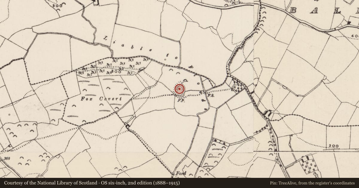 Ordnance Survey six-inch map, 2nd edition (1888–1915) covering the location of Ringfort - rath, Garrankyle, County Tipperary South, with a pin at the register's coordinates