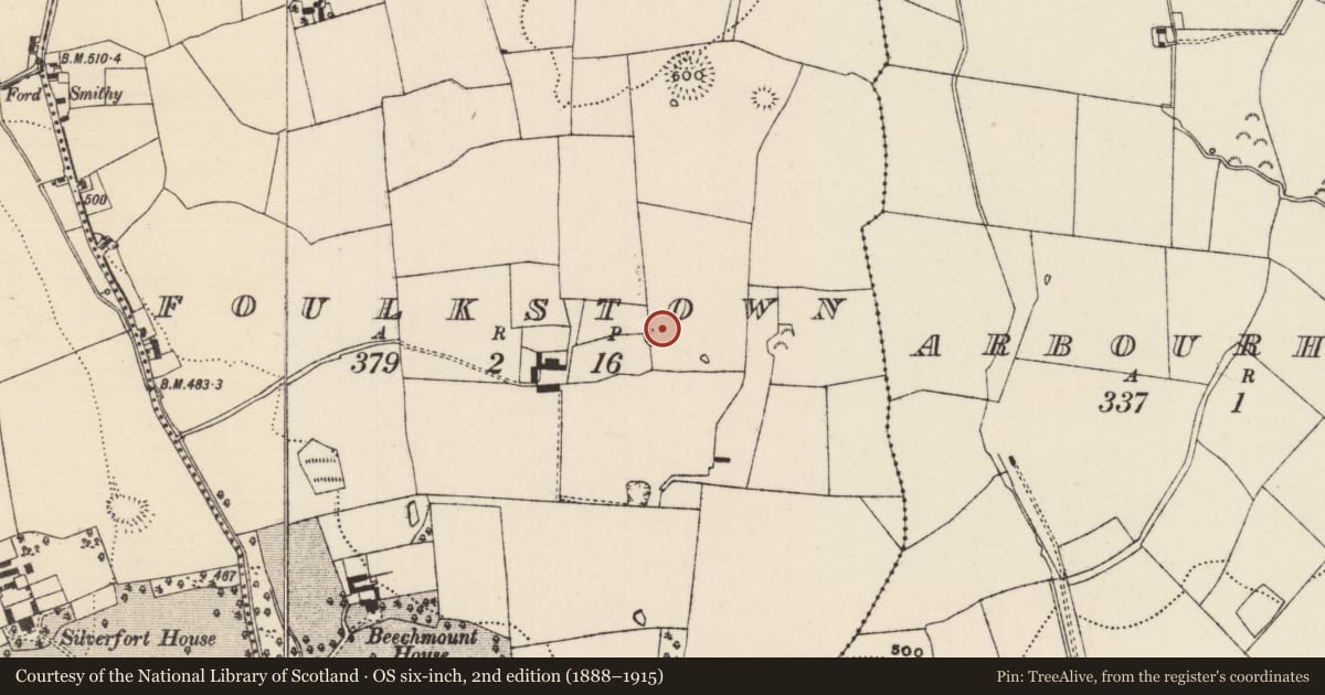 Ordnance Survey six-inch map, 2nd edition (1888–1915) covering the location of Burnt mound, Foulkstown, County Tipperary South, with a pin at the register's coordinates