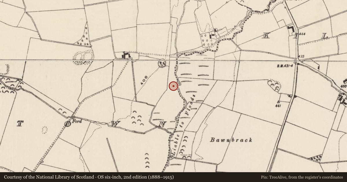Ordnance Survey six-inch map, 2nd edition (1888–1915) covering the location of Enclosure, Mortlestown (Cooleagh Par.), County Tipperary South, with a pin at the register's coordinates