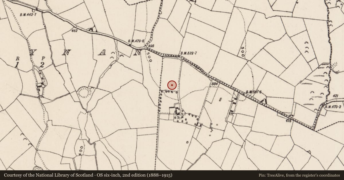 Ordnance Survey six-inch map, 2nd edition (1888–1915) covering the location of Standing stone, Curraheen (Peppardstown Par.), County Tipperary South, with a pin at the register's coordinates