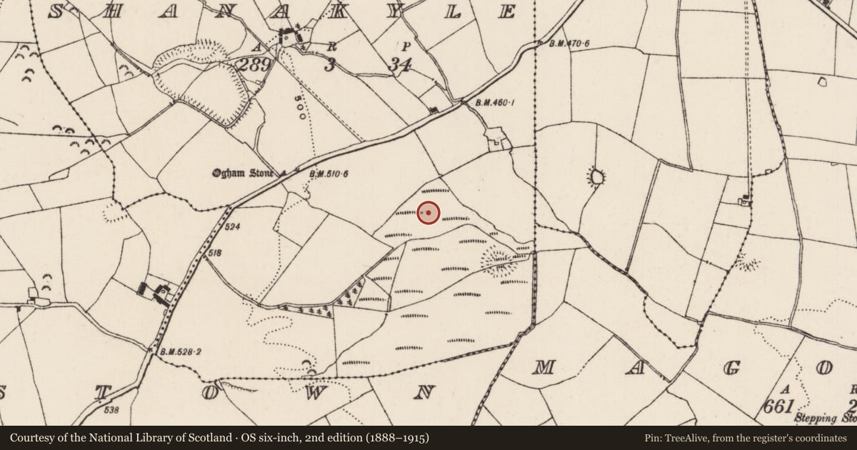 Ordnance Survey six-inch map, 2nd edition (1888–1915) covering the location of Enclosure, Shanakyle, County Tipperary South, with a pin at the register's coordinates