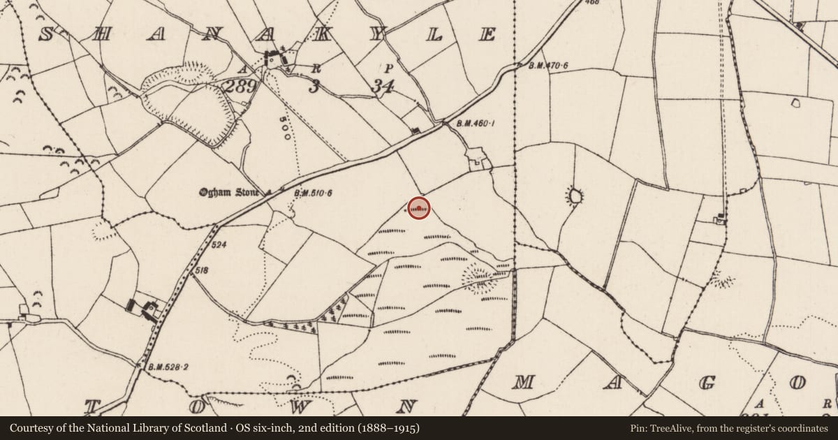 Ordnance Survey six-inch map, 2nd edition (1888–1915) covering the location of Enclosure, Shanakyle, County Tipperary South, with a pin at the register's coordinates