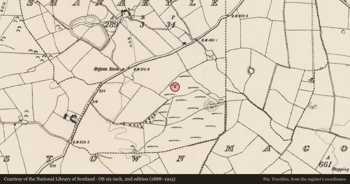 Ordnance Survey six-inch map, 2nd edition (1888–1915) covering the location of Enclosure, Shanakyle, County Tipperary South, with a pin at the register's coordinates
