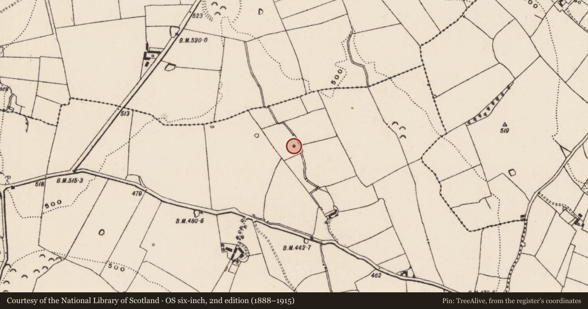 Ordnance Survey six-inch map, 2nd edition (1888–1915) covering the location of Fulacht fia, Lismoynan, County Tipperary South, with a pin at the register's coordinates