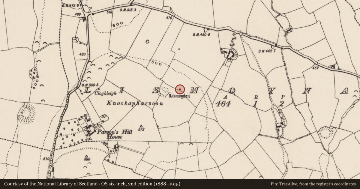 Ordnance Survey six-inch map, 2nd edition (1888–1915) covering the location of Enclosure, Lismoynan, County Tipperary South, with a pin at the register's coordinates