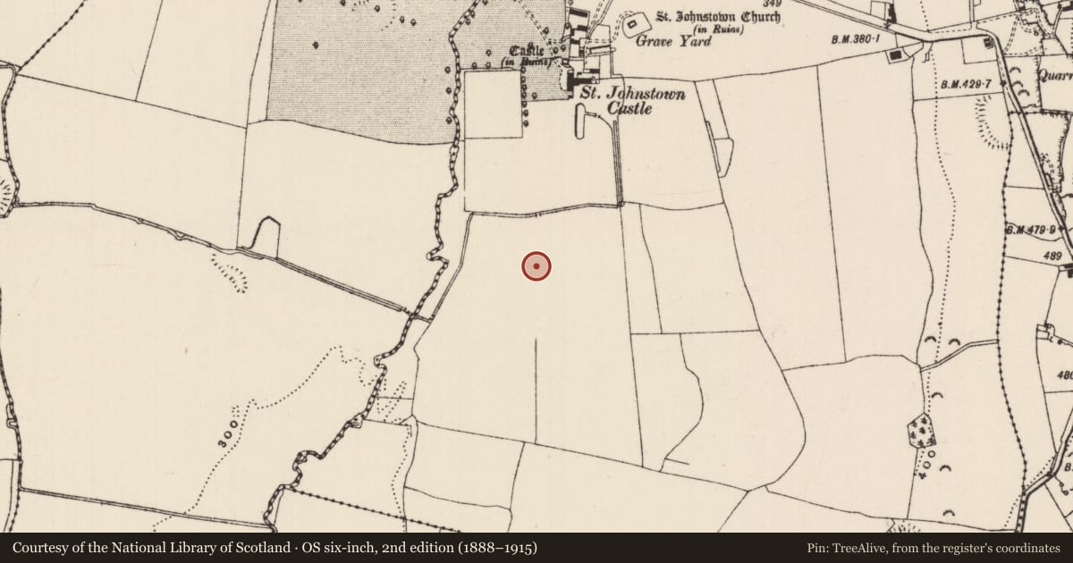 Ordnance Survey six-inch map, 2nd edition (1888–1915) covering the location of Enclosure - large enclosure, St. Johnstown, County Tipperary South, with a pin at the register's coordinates
