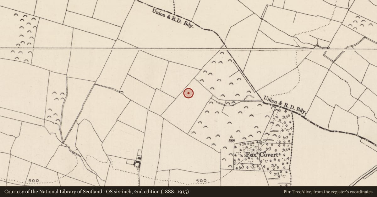 Ordnance Survey six-inch map, 2nd edition (1888–1915) covering the location of Fulacht fia, Kyle (Drangan Par.), County Tipperary South, with a pin at the register's coordinates