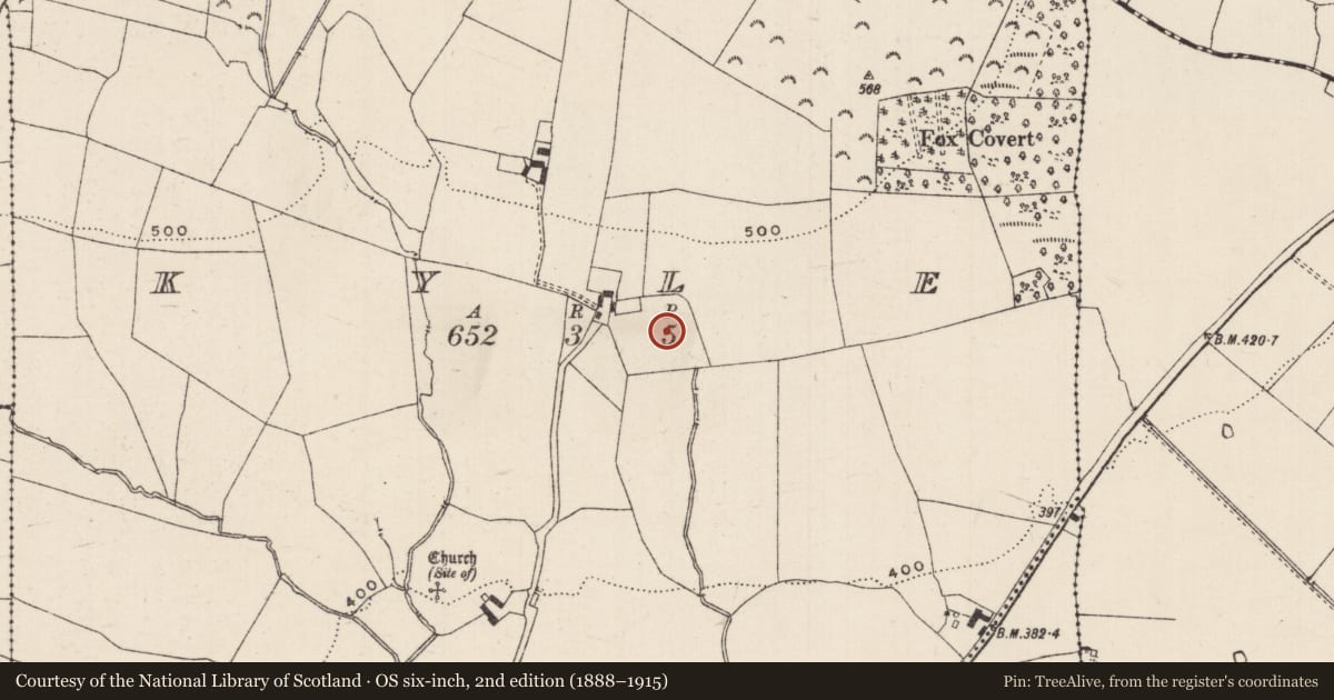 Ordnance Survey six-inch map, 2nd edition (1888–1915) covering the location of Fulacht fia, Kyle (Drangan Par.), County Tipperary South, with a pin at the register's coordinates