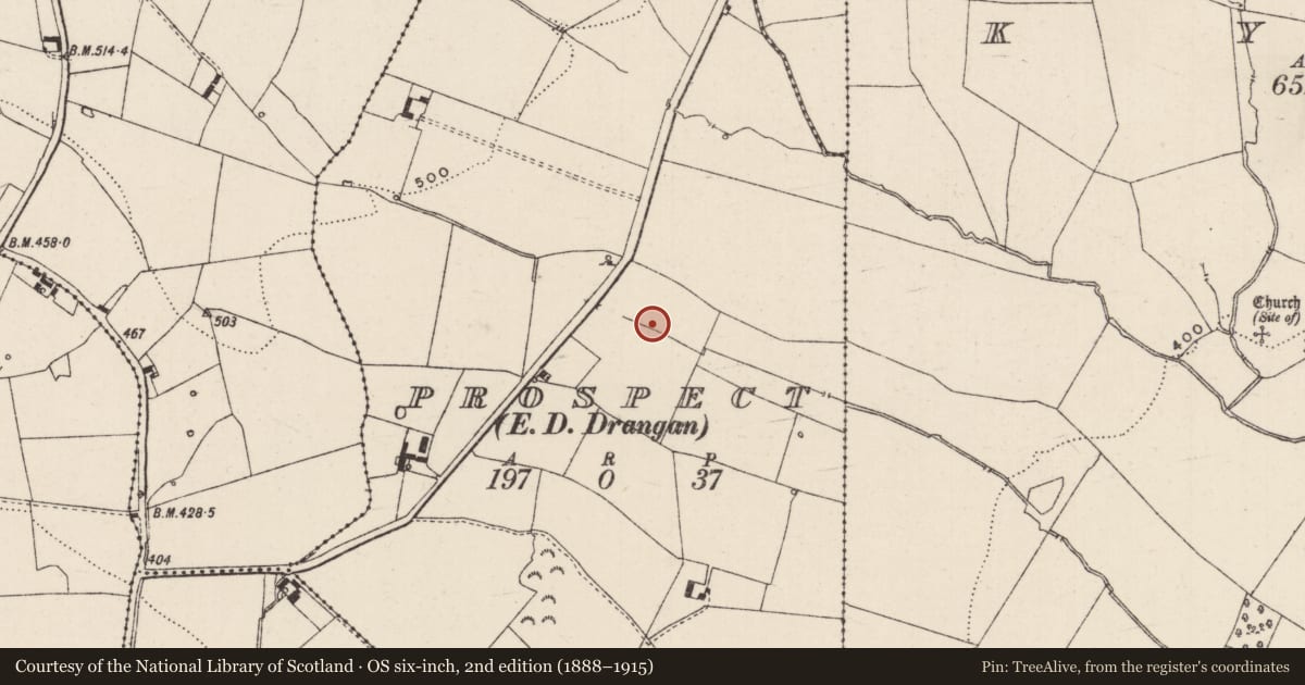 Ordnance Survey six-inch map, 2nd edition (1888–1915) covering the location of Fulacht fia, Prospect (Drangan Par.), County Tipperary South, with a pin at the register's coordinates