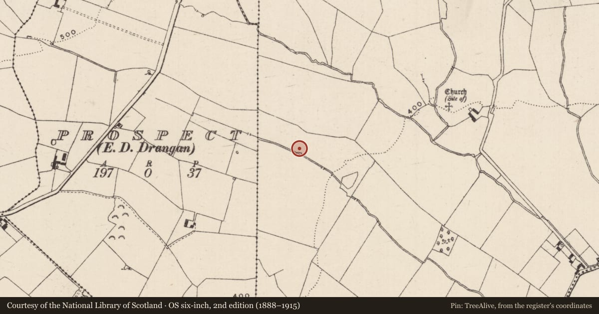 Ordnance Survey six-inch map, 2nd edition (1888–1915) covering the location of Burnt spread, Kyle (Drangan Par.), County Tipperary South, with a pin at the register's coordinates