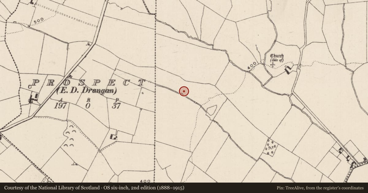 Ordnance Survey six-inch map, 2nd edition (1888–1915) covering the location of Burnt spread, Kyle (Drangan Par.), County Tipperary South, with a pin at the register's coordinates