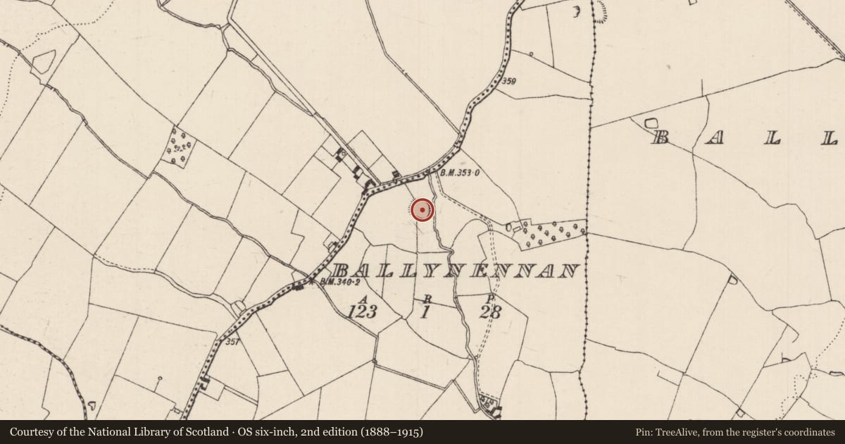 Ordnance Survey six-inch map, 2nd edition (1888–1915) covering the location of Enclosure, Ballynennan, County Tipperary South, with a pin at the register's coordinates