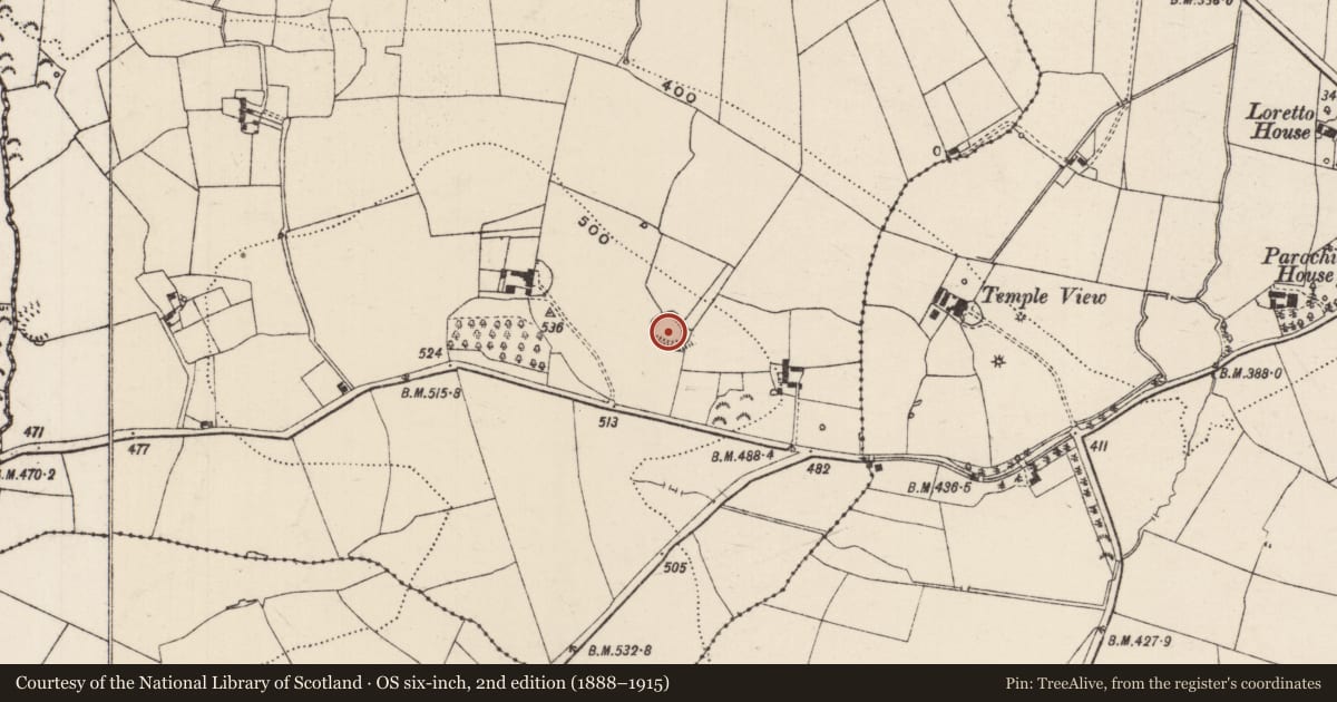 Ordnance Survey six-inch map, 2nd edition (1888–1915) covering the location of Ringfort - rath, Corbally (Drangan), County Tipperary South, with a pin at the register's coordinates