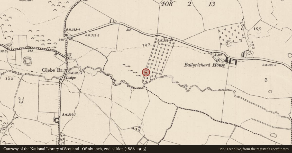 Ordnance Survey six-inch map, 2nd edition (1888–1915) covering the location of Enclosure, Ballyrichard (Drangan Par.), County Tipperary South, with a pin at the register's coordinates